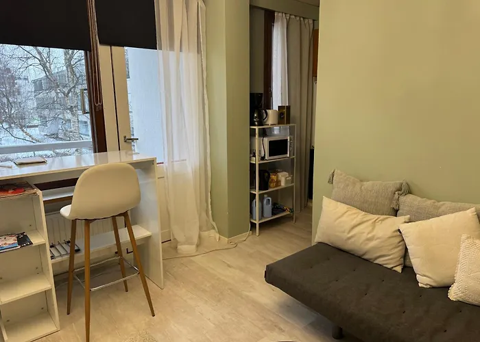 Kauniit Yksioet, 600M Keskustaan, Ilm Parkit