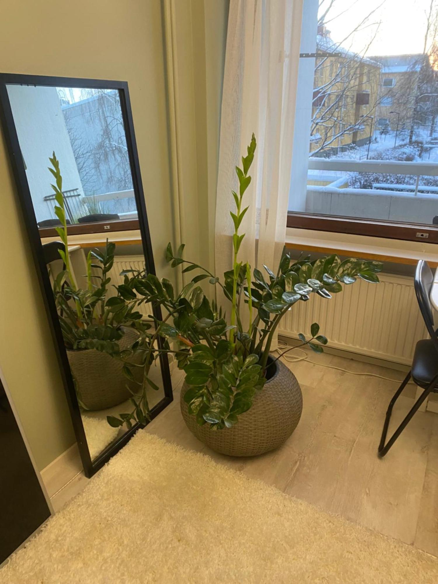 Kauniit Yksioet, 600m Keskustaan, Ilm Parkit * Oulu