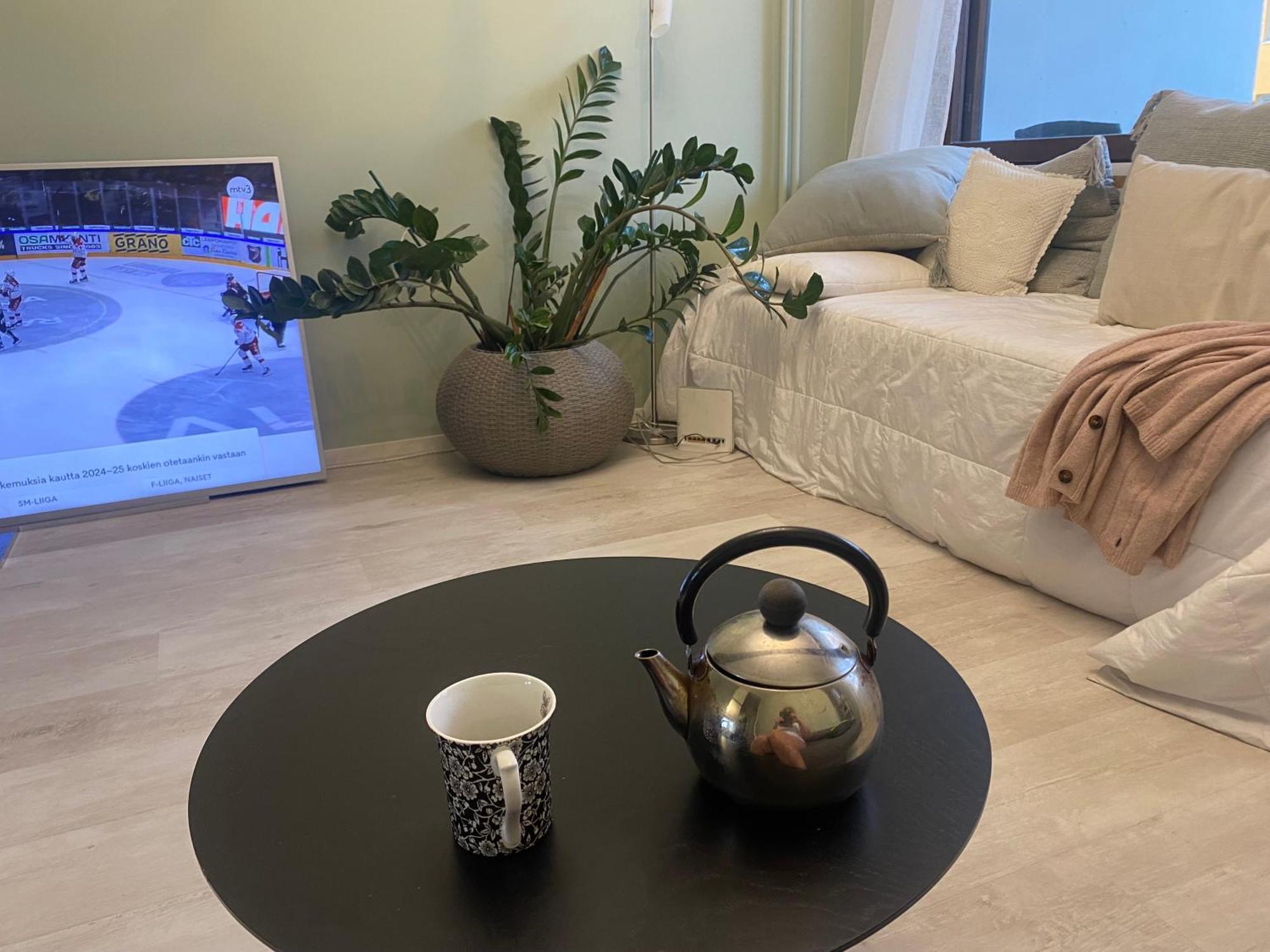 Kauniit Yksioet, 600m Keskustaan, Ilm Parkit Apartment